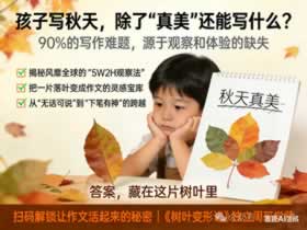 长沙小学生周末营做什么：孩子作文总写“秋天真美”？这片树叶里，藏着让作文活起来的秘密