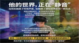 长沙周末营研学实践第五课《会唱歌的昆虫》：别再说孩子“不专注”！这堂课让他听见整个夏天的秘密